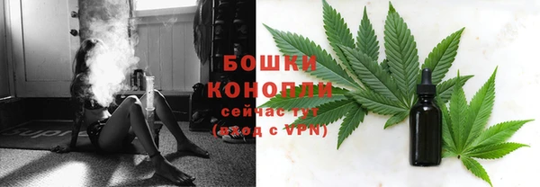 тгк Снежногорск